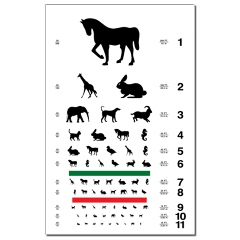 Printable Snellen Chart Pdf